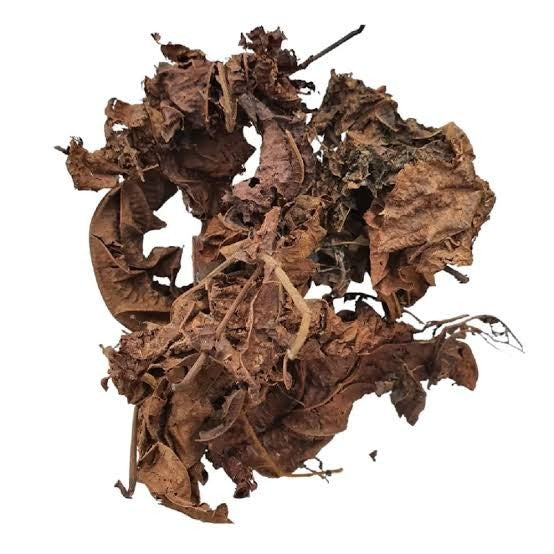 Feuilles de Djeka